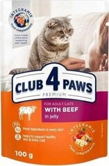 CLUB 4 PAWS PREMIUM Влажный корм для кошек - говядина в желе 24 x 100 г цена и информация | Кошачьи консервы | kaup24.ee