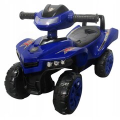 Квадроцикл R-sport, синий цена и информация | Игрушки для малышей | kaup24.ee