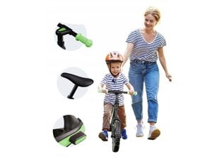 Беговел Daum, зеленый/черный цена и информация | Детский трехколесный велосипед - коляска с удобной ручкой управления для родителей Riff F95941 2в1, фиолетовый | kaup24.ee