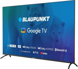 Blaupunkt 65UBG6000S цена и информация | Телевизоры | kaup24.ee