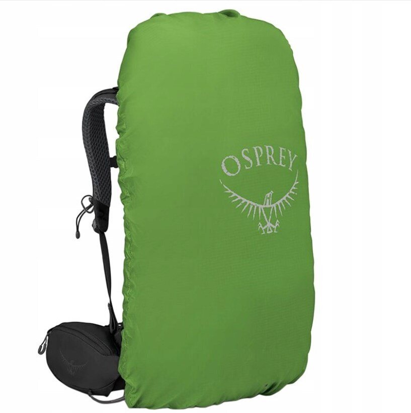 Matkaseljakott Osprey Kestrel L/XL Bonsai Green, 38 l цена и информация | Matkakotid ja reisikotid | kaup24.ee