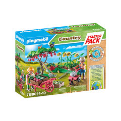 71380 Playmobil Country Vegetable Garden kujud hind ja info | Klotsid ja konstruktorid | kaup24.ee