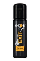 Смазка на силиконовой основе, Ekos exit, 100 мл. цена и информация | Лубриканты | kaup24.ee