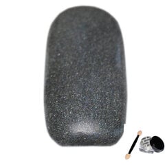 Пыль для декорирования ногтей, скрывающая темно-серый цвет, № 9501 + бесплатный аппликатор, 2 г цена и информация | Средства для маникюра и педикюра | kaup24.ee