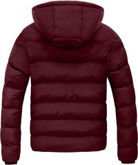  Мужская зимняя куртка Szory, красная цена и информация | Мужские куртки | kaup24.ee