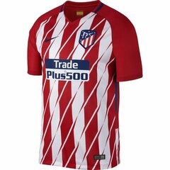 Jalgpalli T-särk Nike Atlético de Madrid Home 17/19 hind ja info | Jalgpalli varustus ja riided | kaup24.ee