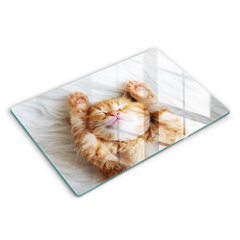 Klaasist Lõikelaud Väike armas kassipoeg, 80x52 cm hind ja info | Lõikelauad | kaup24.ee