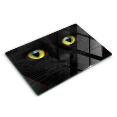 Klaasist Lõikelaud Looma kassi silmad, 80x52 cm hind ja info | Lõikelauad | kaup24.ee