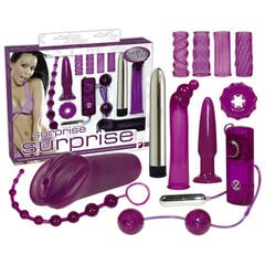 Seksimänguasjade komplekt You2Toys Surprise hind ja info | Sekslelude komplektid | kaup24.ee