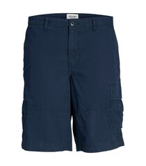 Jack & Jones laste lühikesed püksid 12254171*02, tumesinine 5715514844532 hind ja info | Poiste lühikesed püksid | kaup24.ee