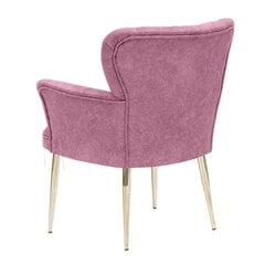 Кресло Asir Paris Gold Metal, розовый цена и информация | Кресла в гостиную | kaup24.ee