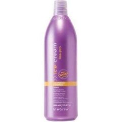 Juuksešampoon rahututele juustele Inebrya Ice Cream Liss Pro Liss Perfect Shampoo, 1000 ml цена и информация | Шампуни | kaup24.ee