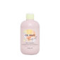 Šampoon Inebrya Ice Cream Frequent Best Care, 300 ml цена и информация | Šampoonid | kaup24.ee