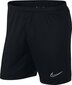 Nike meeste lühikesed püksid, Xl, must hind ja info | Jalgpalli varustus ja riided | kaup24.ee