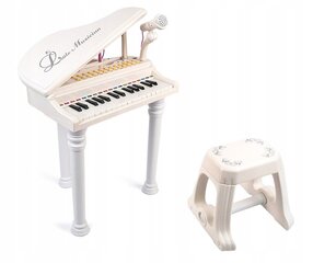 Laste klaver ja mikrofon цена и информация | Развивающие игрушки | kaup24.ee