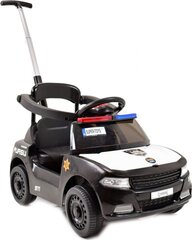 Tõukeauto Super Toys, must hind ja info | Imikute mänguasjad | kaup24.ee