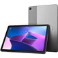 Lenovo Tab M10 3rd Gen Storm Grey (ZAAG0023SE) hind ja info | Tahvelarvutid | kaup24.ee