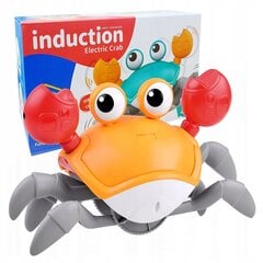Roomav krabi interaktiivne muusika hind ja info | Poiste mänguasjad | kaup24.ee