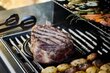 Grill Select, must hind ja info | Elektrigrillid | kaup24.ee