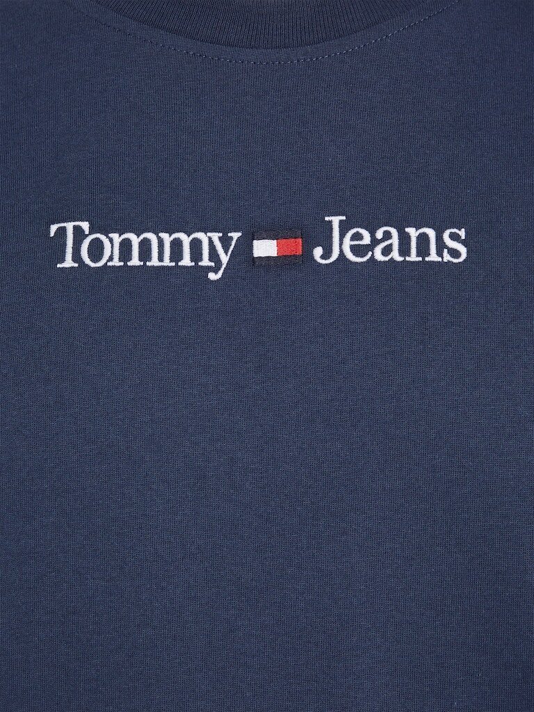 T-särk meestele Tommy Hilfiger 50742, sinine цена и информация | Meeste T-särgid | kaup24.ee