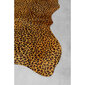 Vaip "Leopard", 207x285cm цена и информация | Vaibad | kaup24.ee