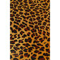 Vaip "Leopard", 207x285cm hind ja info | Vaibad | kaup24.ee