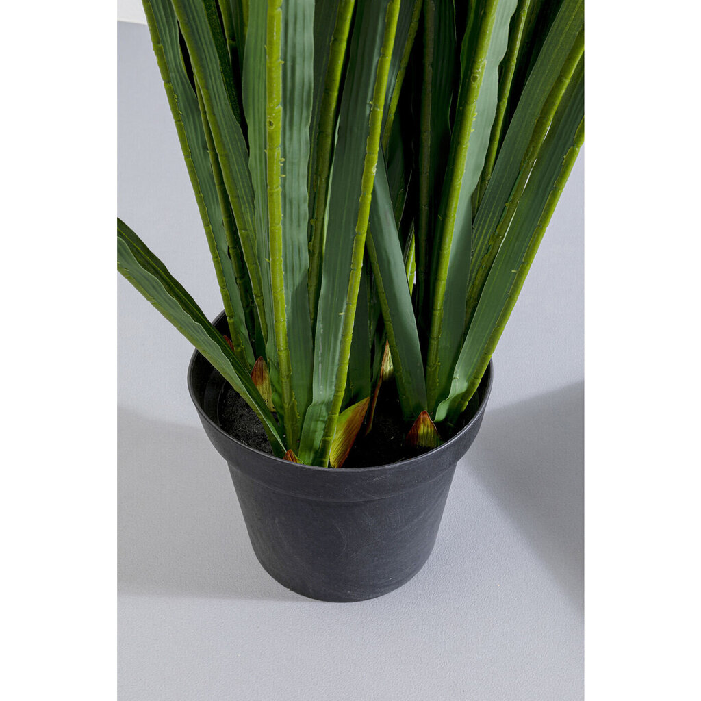 Deco Plant Rhynchostylis 150cm цена и информация | Kunstlilled | kaup24.ee