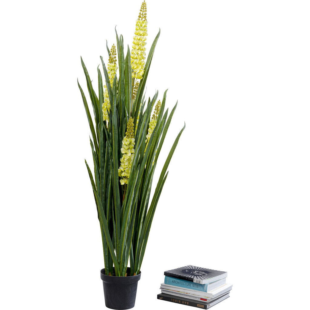 Deco Plant Rhynchostylis 150cm цена и информация | Kunstlilled | kaup24.ee