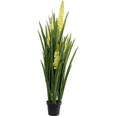 Deco Plant Rhynchostylis 150cm hind ja info | Kunstlilled | kaup24.ee