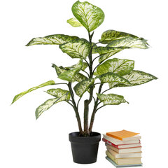 Декоративное растение Диффенбахи, 100 см цена и информация | Искусственные цветы | kaup24.ee