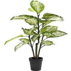 Декоративное растение Диффенбахи, 100 см цена и информация | Искусственные цветы | kaup24.ee