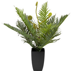Декоративное растение Папоротник, 55 см цена и информация | Искусственные цветы | kaup24.ee