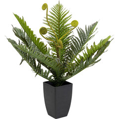 Deco Plant Farn 55cm hind ja info | Kunstlilled | kaup24.ee