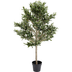 Dekoratiivese "Olive tree" цена и информация | Искусственные цветы | kaup24.ee