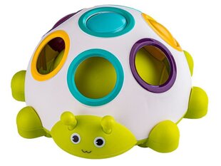 Sensoorsed õppemänguasjad - värviline mardikas sõrmepall цена и информация | Развивающие игрушки | kaup24.ee