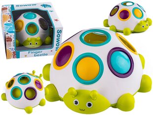 Sensoorsed õppemänguasjad - värviline mardikas sõrmepall цена и информация | Развивающие игрушки | kaup24.ee