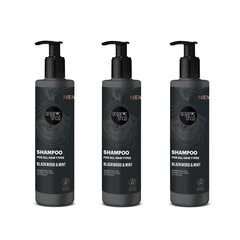 Meeste šampoon kõikidele juuksetüüpidele Organic Shop, 3x280ml hind ja info | Šampoonid | kaup24.ee