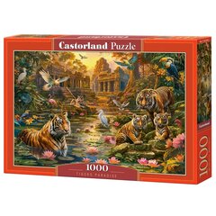 Пазл Castorland Tigers Paradise, 1000 деталей цена и информация | Пазлы | kaup24.ee