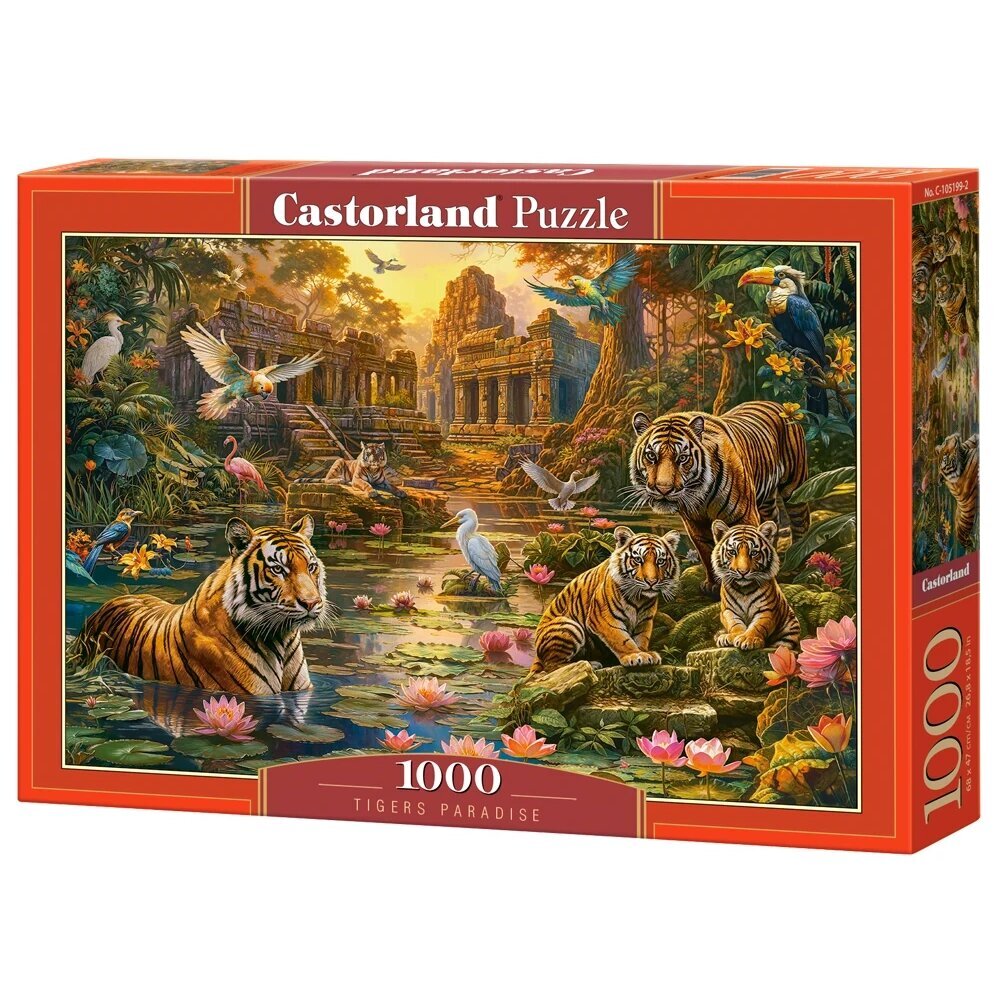 Pusle Castorland Tigers Paradise, 1000 d. hind ja info | Pusled | kaup24.ee