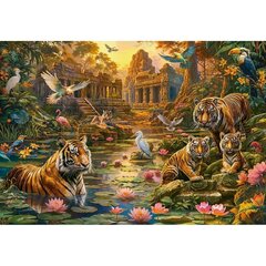 Пазл Castorland Tigers Paradise, 1000 деталей цена и информация | Пазлы | kaup24.ee