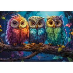 Pusle Castorland Three Little Owls, 1000 d. hind ja info | Pusled | kaup24.ee