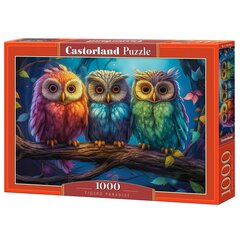 Пазл Castorland Three Little Owls, 1000 деталей цена и информация | Пазлы | kaup24.ee