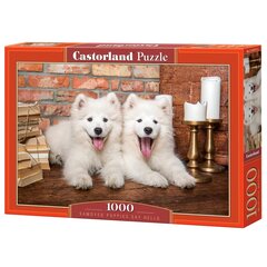 Пазл Castorland Samoyed Puppies Say Hello, 1000 деталей цена и информация | Пазлы | kaup24.ee