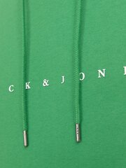 Jack & Jones pusa meestele 12233972*03, roheline 5715506785485 hind ja info | Meeste pusad | kaup24.ee
