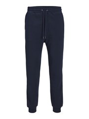 JACK & JONES мужские спортивные брюки 12249274*01, синие цена и информация | Мужские брюки | kaup24.ee