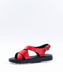 Sandaalid naistele Aotoria 449291 01, mitmevärviline 449291*01-041 hind ja info | Naiste sandaalid | kaup24.ee