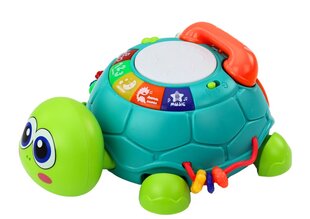 Интерактивная черепашка 6 в 1 со звуковыми и световыми эффектами, зеленая цена и информация | Развивающие игрушки | kaup24.ee