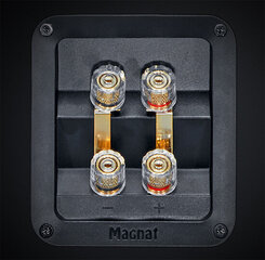 Magnat Signature 903 hind ja info | Koduaudio ja 