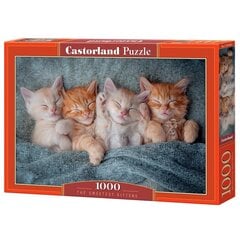 Пазл Castorland The Sweetest Kittens, 1000 деталей цена и информация | Пазлы | kaup24.ee