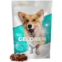 Toidulisand koertele Geloren Small Dog, 60 tk цена и информация | Пищевые добавки и анти-паразитные товары | kaup24.ee